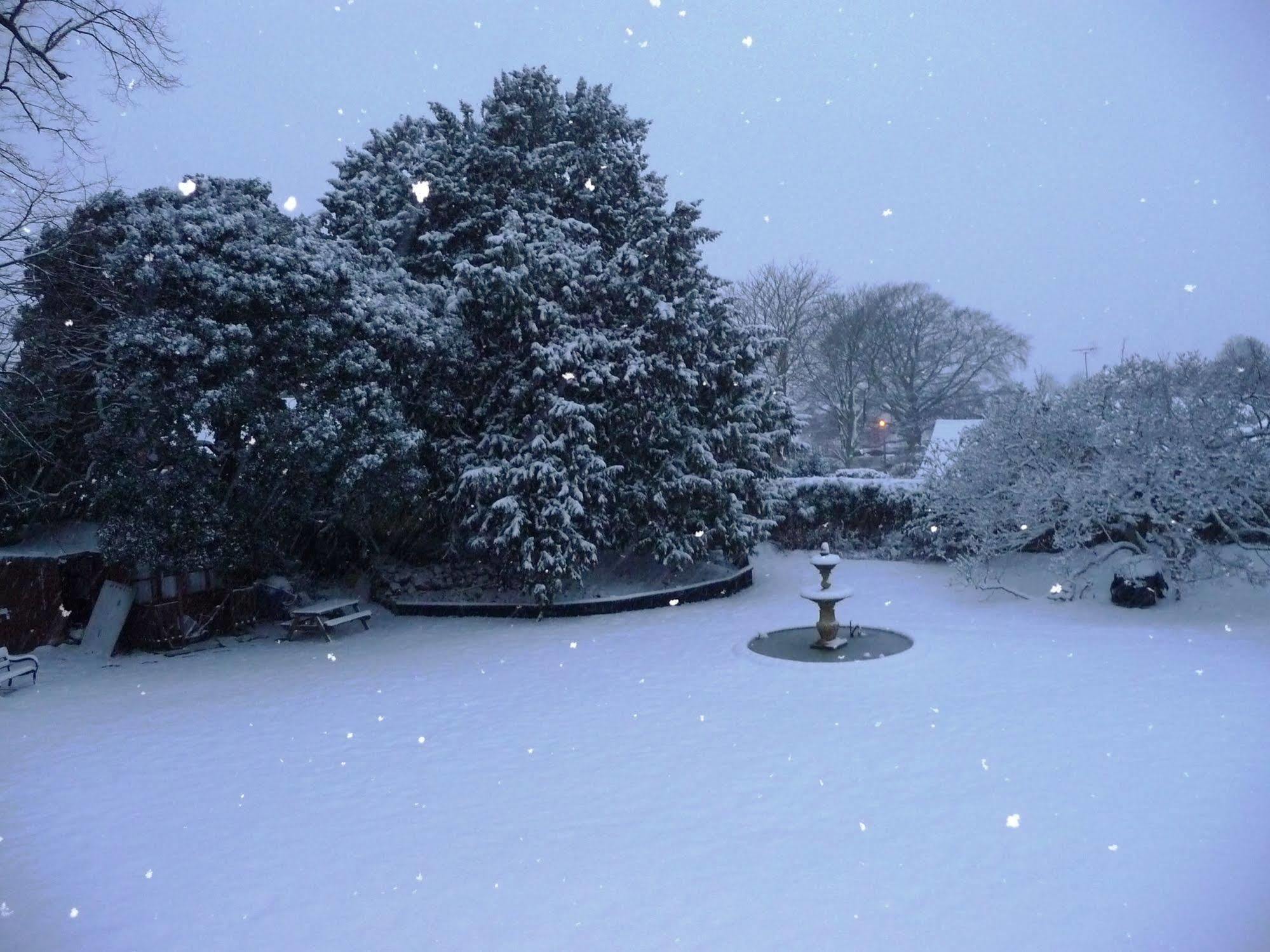 Hilbury Court Hotel โทรว์บริดจ์ ภายนอก รูปภาพ